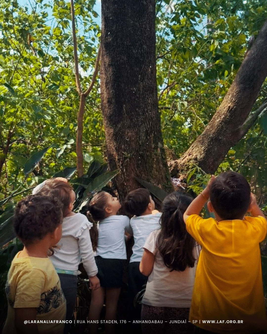 Dia da Árvore: as crianças aprendem a conhecer e cuidar do nosso pomar (foto 2)