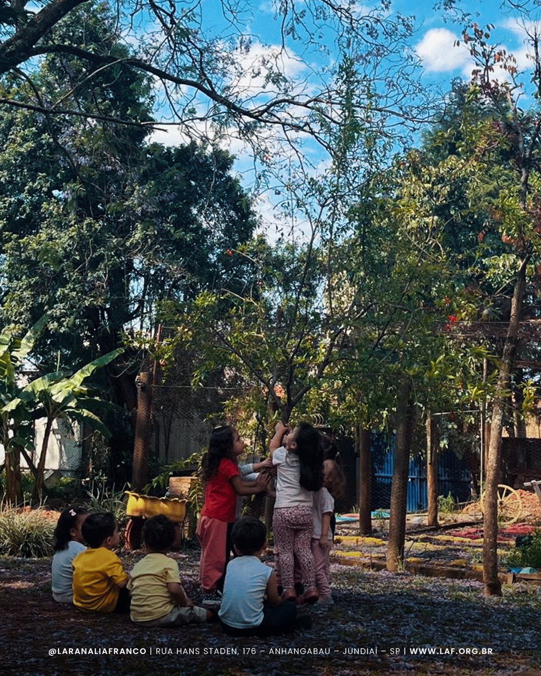 Dia da Árvore: as crianças aprendem a conhecer e cuidar do nosso pomar